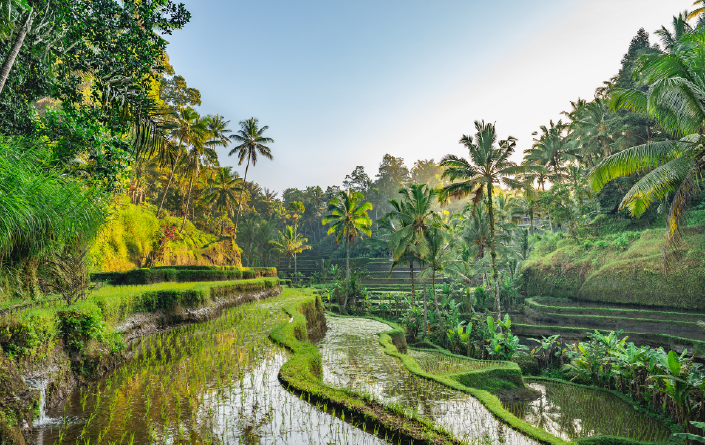 Bali feature Bali, Indonesia
